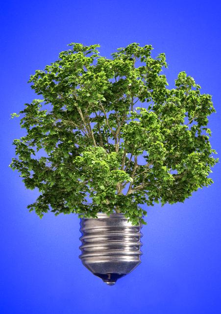 The third political priority of the Juncker Commission: Energy Union and Climate