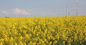 renewable-energy-331334_960_720-680x360.jpg